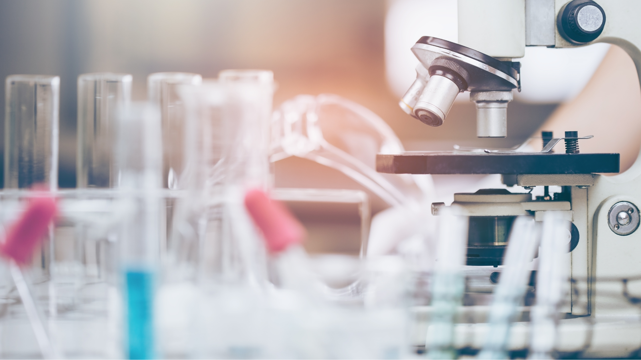blog-molecular-weight